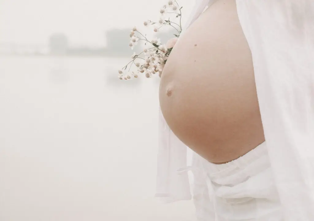 Babybauch mit Blumenzweig vor nebliger Flusslandschaft