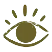 Icon Auge