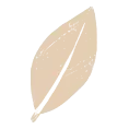 Icon Blatt