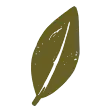 Icon Blatt