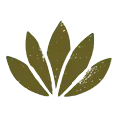Icon Lotusblüte