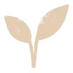 Icon Spross